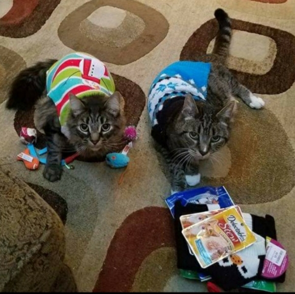 Meet your Posher, Jaime - Picture 12 of 16